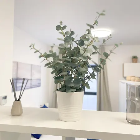 El Beso Del Mar Apartment *